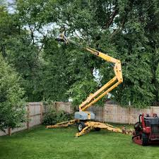 Best Storm Damage Tree Cleanup  in Washington Park, IL